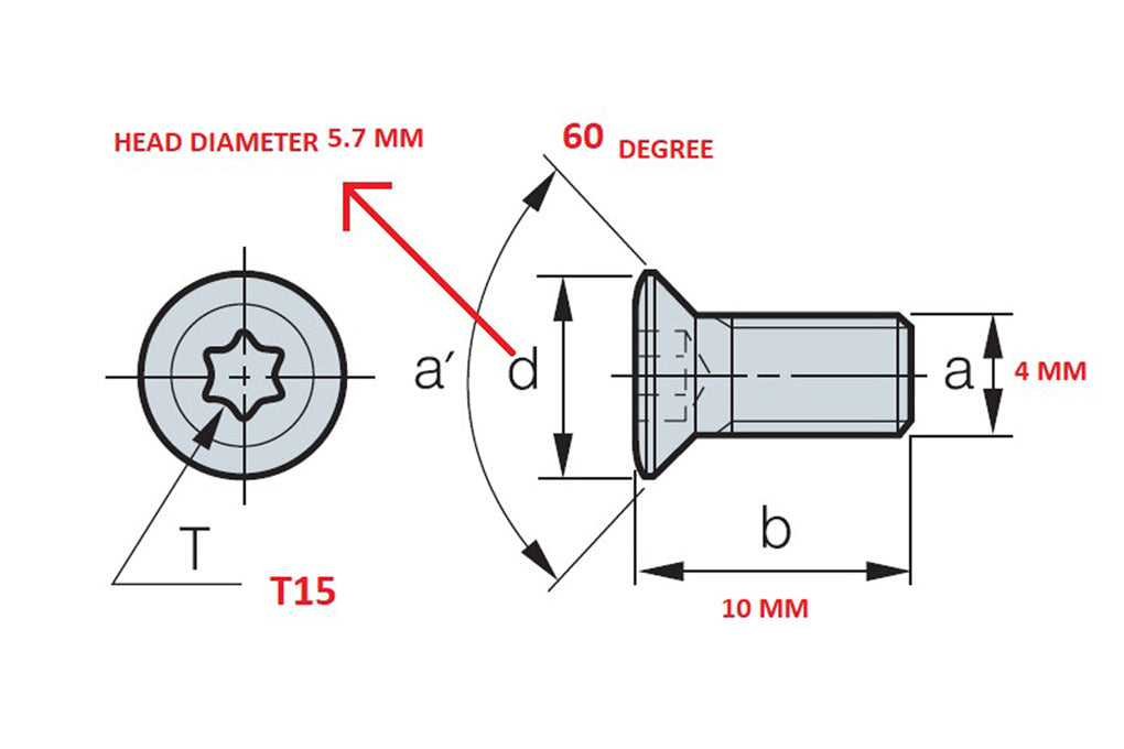 Torx Screw 4x10 mm T15 pack of 100 nos.